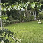 Ti Coco